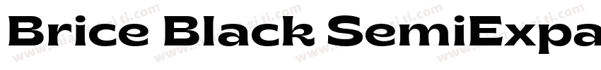 Brice Black SemiExpanded字体转换